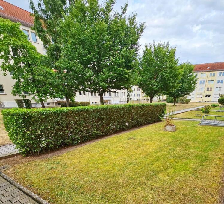 Weißenfels Ferienwohnung מראה חיצוני תמונה